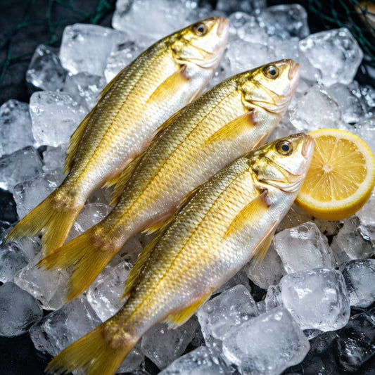 Yellow Croaker 1kg